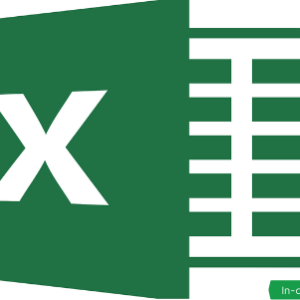 Microsoft Excel- Basic/Intermediate Level
