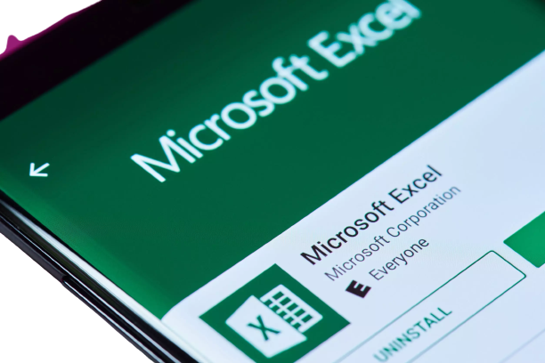 Microsoft Excel - Basic and Intermediate